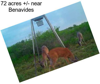 72 acres +/- near Benavides