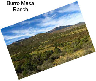 Burro Mesa Ranch