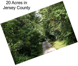 20 Acres in Jersey County