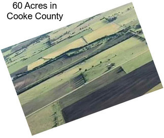 60 Acres in Cooke County