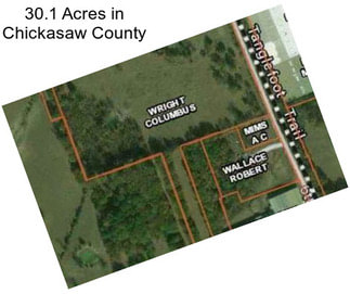 30.1 Acres in Chickasaw County