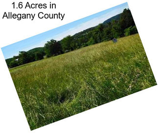 1.6 Acres in Allegany County