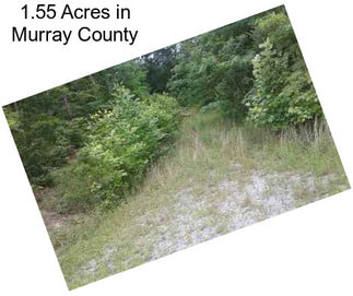 1.55 Acres in Murray County