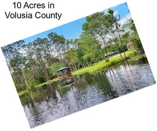 10 Acres in Volusia County