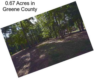 0.67 Acres in Greene County