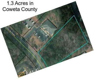 1.3 Acres in Coweta County