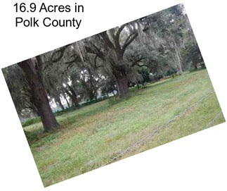 16.9 Acres in Polk County