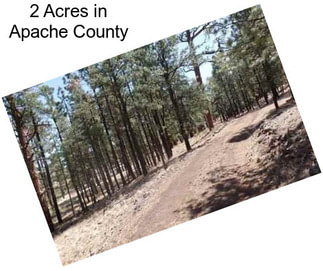 2 Acres in Apache County