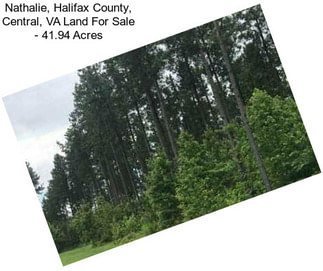 Nathalie, Halifax County, Central, VA Land For Sale - 41.94 Acres