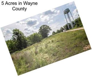 5 Acres in Wayne County