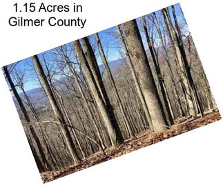 1.15 Acres in Gilmer County