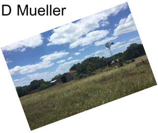D Mueller