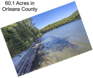 60.1 Acres in Orleans County