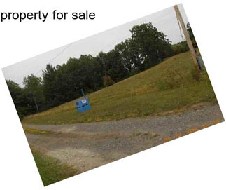 Property for sale