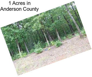 1 Acres in Anderson County