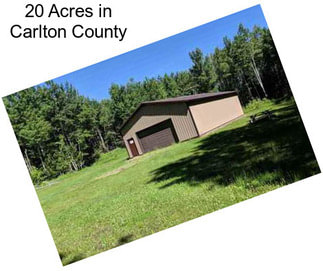 20 Acres in Carlton County