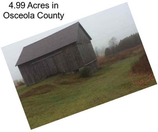 4.99 Acres in Osceola County