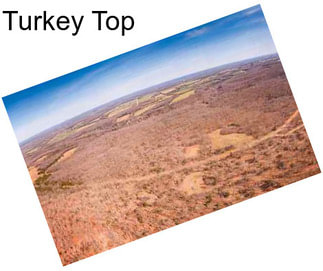 Turkey Top