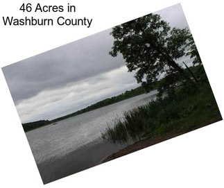 46 Acres in Washburn County