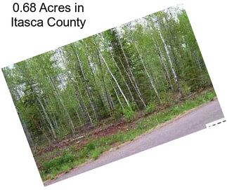 0.68 Acres in Itasca County