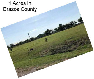 1 Acres in Brazos County