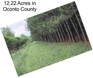 12.22 Acres in Oconto County