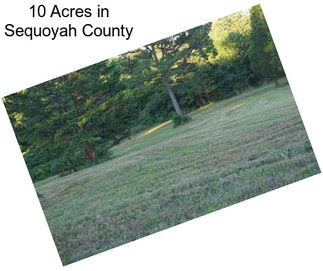 10 Acres in Sequoyah County