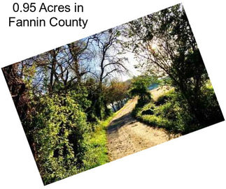 0.95 Acres in Fannin County