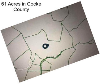 61 Acres in Cocke County