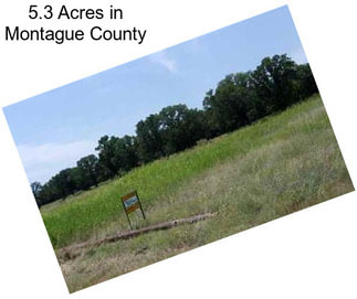 5.3 Acres in Montague County