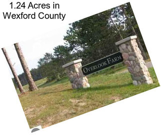 1.24 Acres in Wexford County