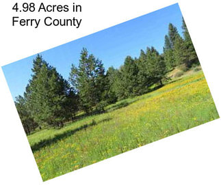 4.98 Acres in Ferry County