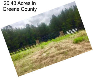 20.43 Acres in Greene County