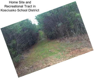 Home Site and Recreational Tract in Kosciusko School District
