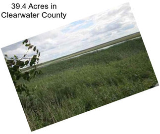 39.4 Acres in Clearwater County