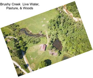 Brushy Creek  Live Water, Pasture, & Woods