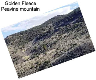 Golden Fleece Peavine mountain