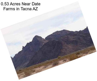 0.53 Acres Near Date Farms in Tacna AZ