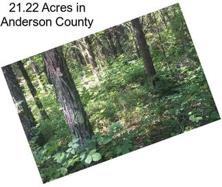 21.22 Acres in Anderson County