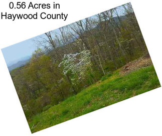 0.56 Acres in Haywood County