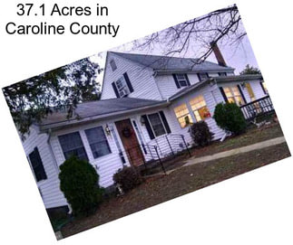 37.1 Acres in Caroline County
