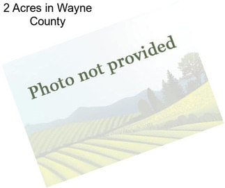 2 Acres in Wayne County