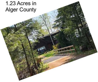 1.23 Acres in Alger County