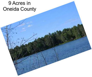 9 Acres in Oneida County