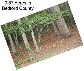 0.67 Acres in Bedford County