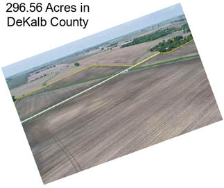 296.56 Acres in DeKalb County