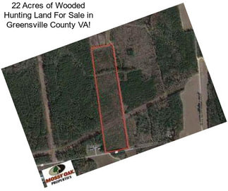 22 Acres of Wooded Hunting Land For Sale in Greensville County VA!