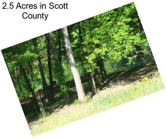 2.5 Acres in Scott County