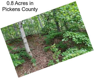 0.8 Acres in Pickens County