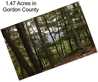 1.47 Acres in Gordon County